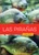 Las pirañas (Spanish Edition) by Melissa Gish, 9798896803676