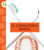 El consultorio dental (Spanish Edition) by Susan Rose Simms, 9798896853633