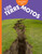Curiosidad por los terremotos (Spanish Edition) by Rachel Grack, 9798896853763