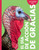 Curiosidad por el Día de Acción de Gracias (Spanish Edition) by Elizabeth Kassuelke, 9798896855026