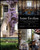 Saint-Émilion (The Châteaux, Winemakers, and Landscapes of Bordeaux's Famed Wine Region) by Béatrice  Massenet, Emmanuelle Ponsan-Dantin, Guillaume de Laubier, François Querre, 9781584799443
