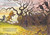 Lost Woods by Glen Keane, 9780593602249