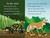 Creature Powers: Small and Mighty! (Wild Kratts) - 9781984851239 by Martin Kratt, Chris Kratt
