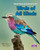 Birds of All Kinds by Kelley MacAulay, Bobbie Kalman, 9781039873155