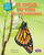 El ciclo de vida de los insectos (Insect Life Cycles) (Spanish Edition) (Spanish Edition) - 9781039886230 by Molly Aloian, Bobbie Kalman, 9781039886230