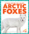 Arctic Foxes - 9798896625452 by Alicia Z. Klepeis