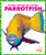 Parrotfish - 9798896625575 by Alicia Z. Klepeis