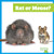 Rat or Mouse? by Becca Becker, 9798896625759