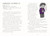 David's Diary #3: The Big Bully by Bunmi Laditan, Elisa Rocchi, 9780593601587