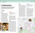 DK Top 10 Marrakech (Top 10 lists for your perfect trip, plus an all-weather folded map) by DK Travel, 9780241813454