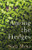 Among the Hedges by Sara Mesa, Megan McDowell, 9781948830393