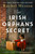 The Irish Orphan's Secret by Rachel Wesson, 9781837002955