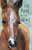The Foal in the Wire by Robbie Coburn, 9780734423603