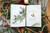 Come and Behold Him (25 Days of Drawing Near to Jesus This Christmas) by Joyce Meyer, Ginger Stache, 9781546009320