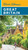 Rick Steves Great Britain by Rick Steves, 9781641717151