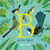 B is for Bird by Lily Emo, 9781869717049