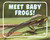 Meet Baby Frogs! by Cari Meister, 9798875287817
