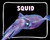 Squid - 9798875287695 by Lisa J. Amstutz, 9798875287695