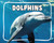 Dolphins - 9798875287701 by Lisa J. Amstutz, 9798875287701