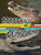 Cocodrilo vs. deinosuchus (Spanish Edition) by Charles C. Hofer, 9798875296475