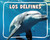 Los delfines (Dolphins) (Spanish Edition) - 9798875297724 by Lisa J. Amstutz, 9798875297724