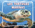Las tortugas marinas (Sea Turtles) (Spanish Edition) - 9798875297731 by Lisa J. Amstutz, 9798875297731