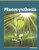Photosynthesis - 9798875313387 by Golriz Golkar