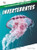 Invertebrates - 9798895779613 by D. R. Faust, N/A