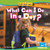 What Can I Do in a Day? by Emma Huddleston, N/A, 9798895779071