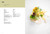 HAUT (Divine Dining) by Femke Vandevelde, Randy Degroote, Dimitri Proost, 9789058567437