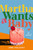 Martha Wants a Baby (A Novel) by April Vellacott, 9781419793103