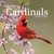 Audubon Cardinals Mini Wall Calendar 2027 by National Audubon Society, Workman Calendars, 9781523533367