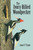 The Ivory-Billed Woodpecker by James T. Tanner, 9780486428376