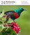 Audubon Nature Page-A-Day® Gallery Calendar 2027 by National Audubon Society, Workman Calendars, 9781523535149