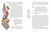 Ten Lives (How What We Have Shapes Who We Are) by Mona Chalabi, 9780593243671