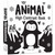 Animal High Contrast by Wonder House Books, 9789370893672