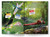Explore Fantastic World of Insects And Bugs Picture Encyclopedia by Wonder House Books, 9789370899605