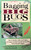 Bagging Big Bugs (How to Identify, Collect and Display the Largest and Most colorful Insects of the Rocky Mountain Region) by Whitney Cranshaw, 9781555911782