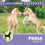 Foals Grow Up by Cecilia Minden, 9781668980163