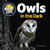 Owls in the Dark by Joyce Markovics, 9781668981580