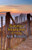 Summer Situations (Three Novellas) by Ann Birstein, 9781504008457