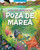 Lo que pasa dentro de una poza de marea (Una cangrejita ermitaña en busca de un nuevo hogar) (Spanish Edition) by Monterey Bay Aquarium, Katy Scott, Celeste López Baird, Amy Grimes, 9798897080908
