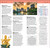 DK Top 10 Bangkok (Top 10 lists for your perfect trip, plus an all-weather folded map) by DK Travel, 9780241813485