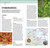 DK Top 10 Hong Kong (Top 10 lists for your perfect trip, plus an all-weather folded map) by DK Travel, 9780241813492