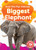 Biggest Elephant by Suzane Nguyen, 9798893049954