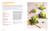 Comemos (Plant-Forward Recipes Celebrating Contemporary Mexican Cuisine) by Alejandra Graf, 9781423669470