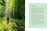 The Book of Japanese Self-Care (Forest bathing, tea ceremonies, Zen meditation, and more) by Iris Law, 9781800656727