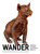 Wander (Exploring LACMA's David Geffen Galleries) by Los Angeles County Museum of Art, 9781943042999