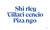 Shirley Villavicencio Pizango by Shirley Pizango, 9789493416758