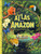 Atlas of the Amazon by Lizzy Kanashiro, Ricardo Guerrero, Melissa Siles, 9798218860059
